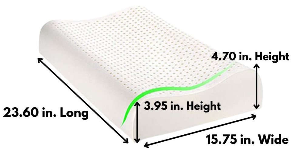 latex contour pillow dimensions inch
